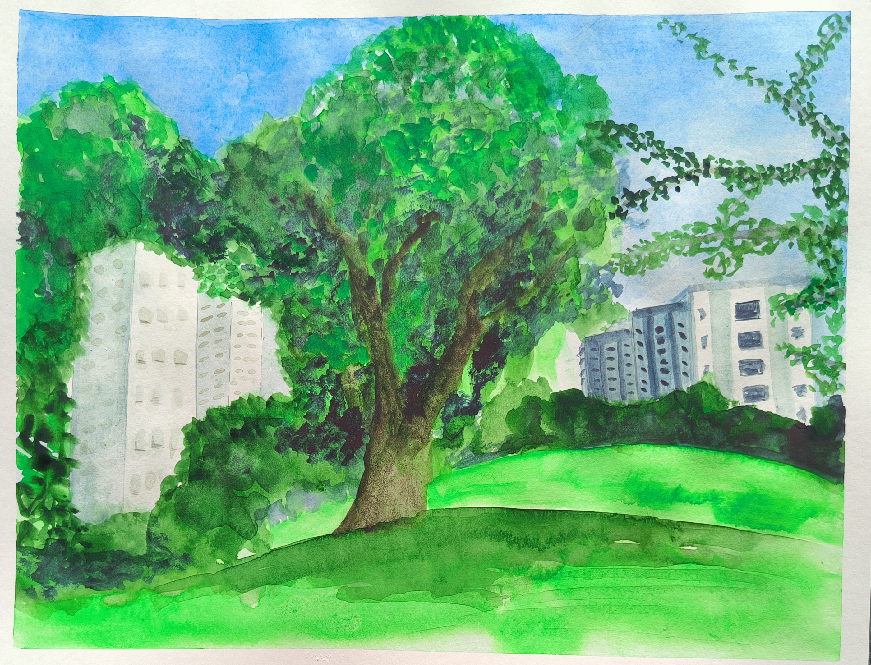 42 × 30 cm