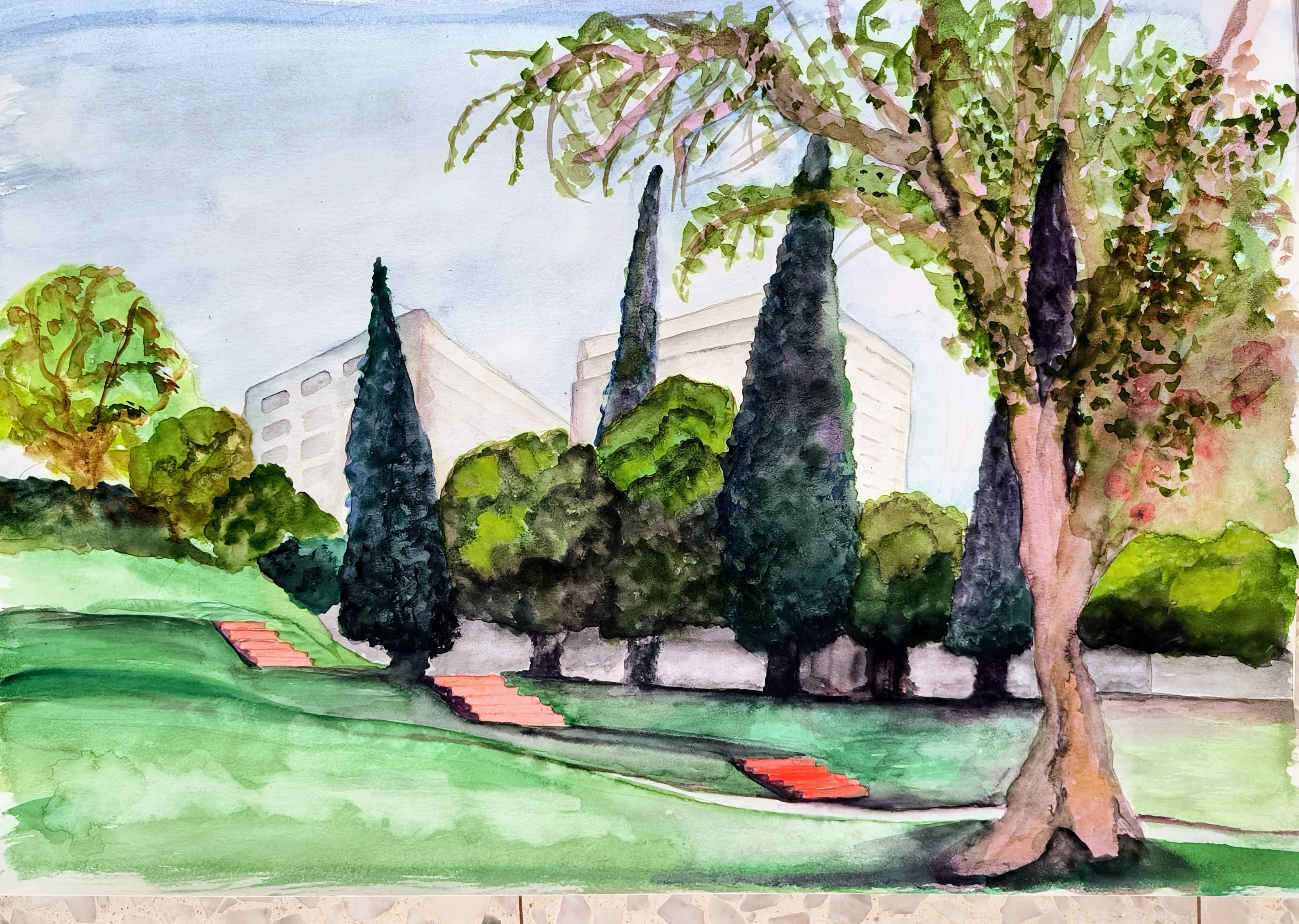 38 × 56 cm